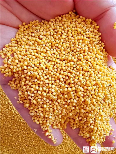 中秋團圓，福山農產品與通訊設備相伴更溫馨